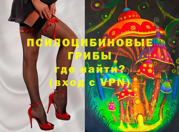 индика Зеленокумск