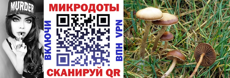 blacksprut рабочий сайт  где купить   Новоалтайск  Галлюциногенные грибы ЛСД 