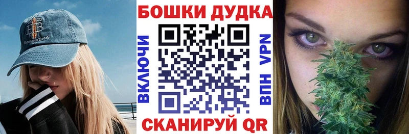 Шишки марихуана марихуана  Новоалтайск 